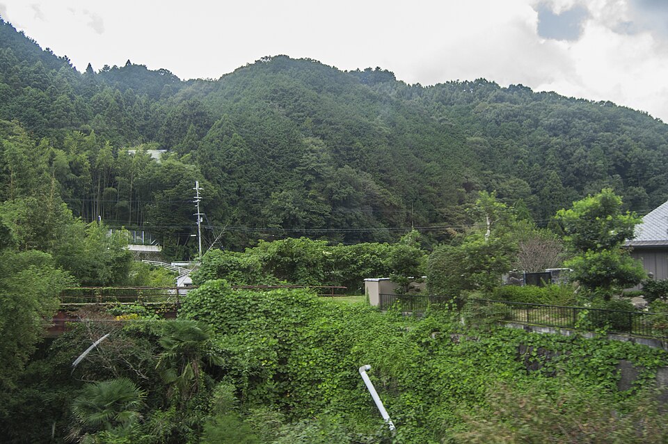 2015年撮影の南海高野線からの緑。行程外の背景