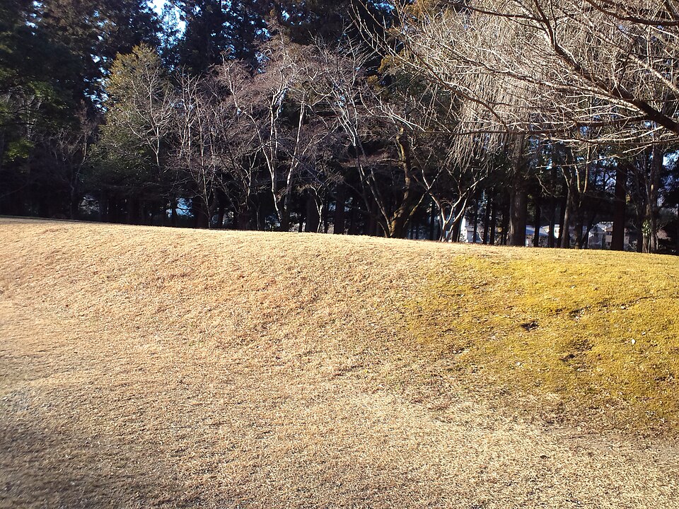 2013年撮影、大斎原の旧社地と森