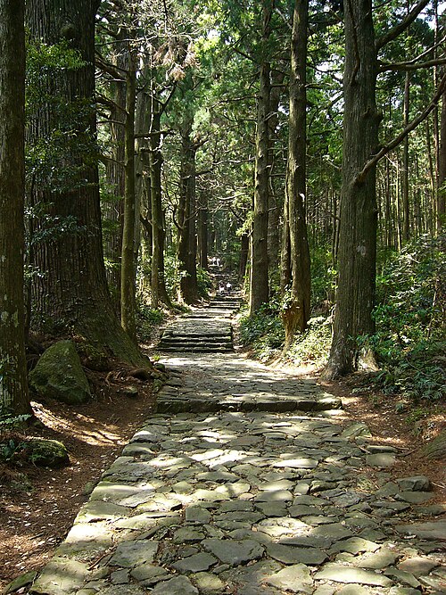 2005年撮影、大門坂の森と石畳